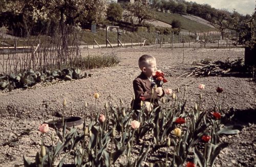 Foto: Kultur und Geschichte vom Berge e.V. Foto: Kultur und Geschichte vom Berge e.V.