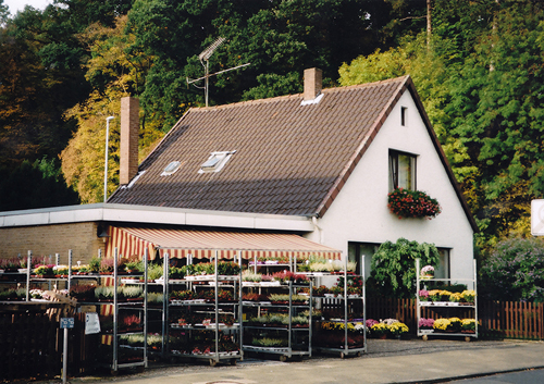 Blumenhaus neu